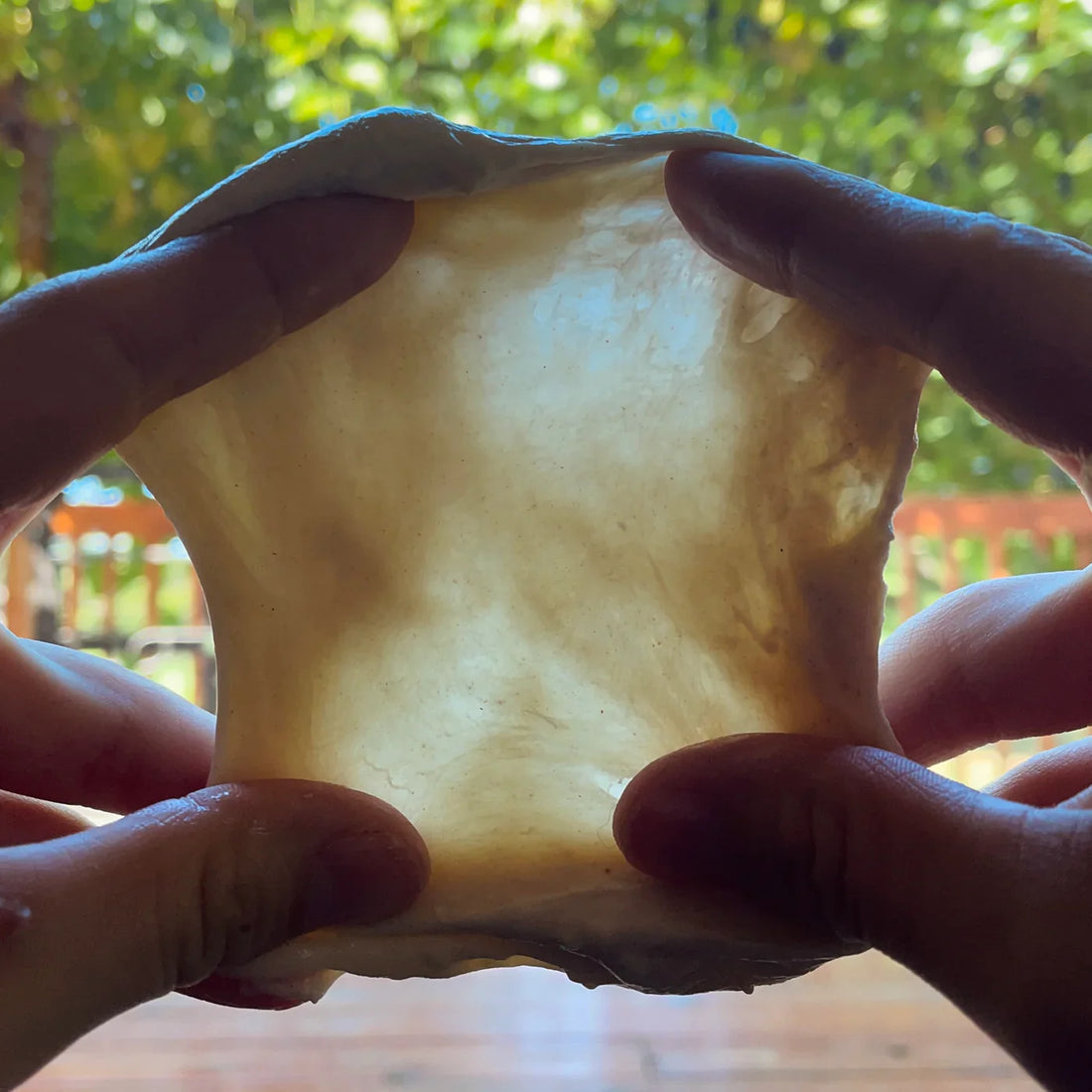 Why the Windowpane Test Is Pointless for Pizza Dough (And What Actually Matters Instead)